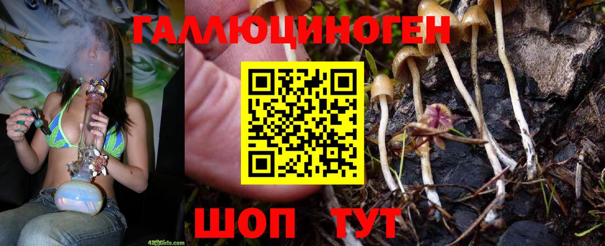 Псилоцибиновые грибы MAGIC MUSHROOMS Фрязино