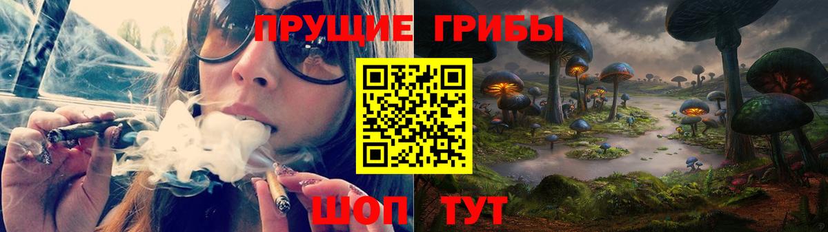 Галлюциногенные грибы GOLDEN TEACHER  где можно купить наркотик  Фрязино  Вход с VPN  Псилоцибиновые грибы GOLDEN TEACHER 